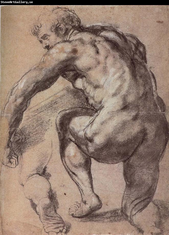Peter Paul Rubens Portrait of Man